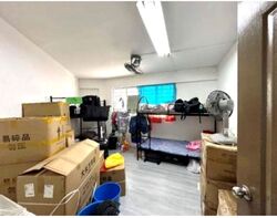 Hougang Avenue 1 (D19), Shop House #617747871
